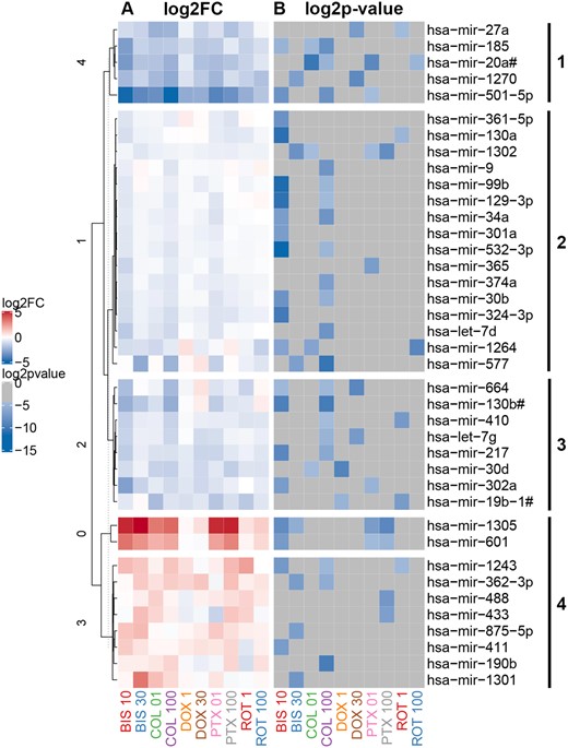 Heatmap of secreted microRNAs (miRNAs) significantly altered by chemical treatment of neurons. A total of 39 miRNAs were selected based on criteria described in methods, with fold change ≥ 1.5 or ≤ 0.67 (A, left-hand panel) and unadjusted p value < .01 (B, right-hand panel). miRNAs were clustered (clusters 1, 2, 3, and 4) using hierarchical clustering based on miRNA fold change values.