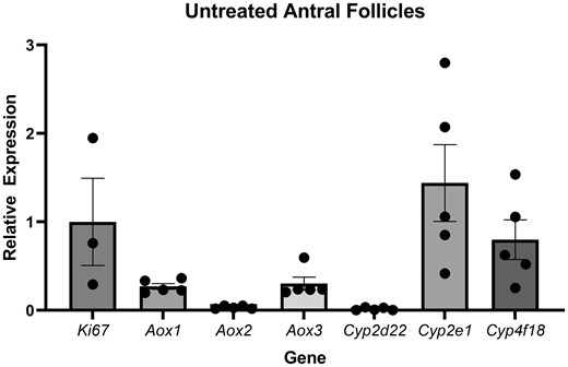 Gene expression of metabolic enzymes in untreated antral follicles. The graphs indicate means ± SEMs from 5 separate cultures (8–12 follicles per treatment per culture).