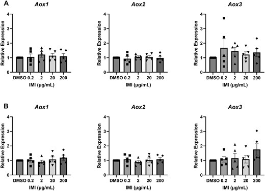 Gene expression of aldehyde oxidases in antral follicles treated with DMSO or IMI (0.2–200 µg/ml) for 48 (A) and 96 (B) hours. The graphs indicate means ± SEMs from 5 separate cultures (8–12 follicles per treatment per culture). Abbreviations: DMSO, dimethyl sulfoxide; IMI, imidacloprid.