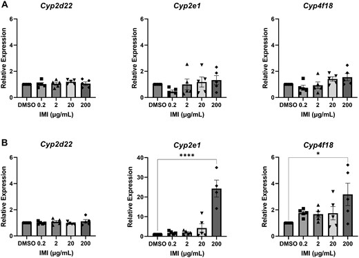 Gene expression of cytochrome P450s in antral follicles treated with DMSO or IMI (0.2–200 µg/ml) for 48 (A) and 96 (B) hours. The graphs indicate means ± SEMs from 5 separate cultures (8–12 follicles per treatment per culture). Asterisks indicate significant differences between treatment groups and DMSO controls. *p < .05, ****p < .00001. Abbreviations: DMSO, dimethyl sulfoxide; IMI, imidacloprid.