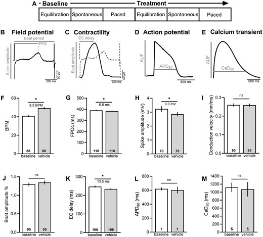 Experimental protocol. (A) hiPSC-CM were equilibrated (15–20 min), and then basal cardiac metrics were measured during spontaneous beating or in response to external pacing. Thereafter, hiPSC-CM were treated with a specified chemical for 15–20 min, and then cardiac metrics were measured again. Representative traces and fiducial markers are shown for (B) field potential recording, (C) contractility, (D) optical action potential, and (E) intracellular calcium transient. (F–K) MEA parameters were compared between baseline and 0.1% DMSO (vehicle) to establish threshold values for chemical treatment studies. (L, M) Action potentials and calcium transients were also compared between baseline and 0.1% DMSO (optical recordings were performed at room temperature). Number of independent replicates reported in each bar. Mean and 95% confidence interval are reported; t test with *p < .05. BPM recorded during spontaneous rhythm, all other parameters reported in response to pacing. APD80, action potential duration at 80% repolarization; AUF, arbitrary unit of fluorescence; BPM, beats per minute; CaD80, calcium transient duration at 80% recovery; EC delay, excitation-contraction delay time; FPDc, field potential duration, rate corrected.