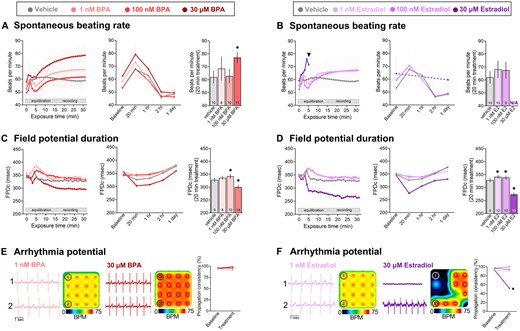 Time-dependent effects of BPA and E2. A and B, Spontaneous beating rate following BPA or E2 exposure. ANOVA with multiple comparisons test, *p < .05 compared with vehicle (0.1% DMSO). C and D, Field potential duration (rate-corrected with Fridericia formula) following BPA or E2 exposure. ANOVA with Holm-Sidak multiple comparisons test, *p < .05 compared with vehicle (0.1% DMSO). E and F, Arrhythmia potential as determined by propagation consistency across the microelectrode array. Raw signals from 2 individual electrodes are shown, as well as a heatmap of the spontaneous beating rate across the 16-electrode array. Paired t test, *p < .05 compared with baseline recording on same electrode. Mean and 95% confidence interval are reported. BPM recorded during spontaneous beating, FPDc recorded in response to 1.5 Hz pacing frequency. N/A: Not assessed due to loss of spontaneous beating activity within this single lot of hiPSC-CMs.