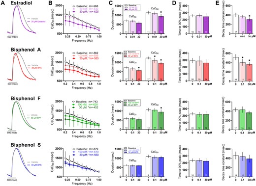 Effect of E2 and bisphenol chemicals on intracellular calcium transients. A, Representative calcium transients recorded from hiPSC-CM following 15 min exposure to 30 μM E2, BPA, BPF, or BPS. Calcium transients were measured optically using a calcium-indicator dye (0.5 Hz pacing frequency, room temperature). B, Calcium transient duration at 80% (CaD80) as the pacing rate was increased stepwise from 0.2 to 1 Hz; slope “m” is indicated for each chemical. C, CaD30 and CaD80. (D) Time to 90% peak fluorescence. (E) Decay time constant all measured at 0.5 Hz frequency. Number of independent replicates reported in each bar. Mean and 95% confidence interval are reported; ANOVA with multiple comparisons test, *p < .05 relative to baseline measurements preceding chemical treatment. Samples omitted if not responsive to the desired pacing frequency or if optical signals were of insufficient quality for analysis.
