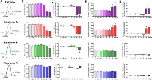 Effect of E2 and bisphenol chemicals on cardiomyocyte contraction. A, Representative recordings of hiPSC contraction and relaxation (impedance-based measurement) following 15 min exposure to 60 μM E2, BPA, BPF, or BPS (1.5 Hz pacing frequency). B, Beat amplitude, dose response. C, Percent change in beat amplitude after chemical exposure, relative to matched baseline recording. D, Excitation-contraction coupling time, dose response. E, Percent change in excitation-contraction coupling time, relative to matched baseline recording. Number of independent replicates reported in each bar. Mean and 95% confidence interval are reported; ANOVA with multiple comparisons test, *p < .05 relative to vehicle control (0.1% DMSO). Samples omitted if not responsive to the desired pacing frequency or if the contraction amplitude was too small to measure accurately.