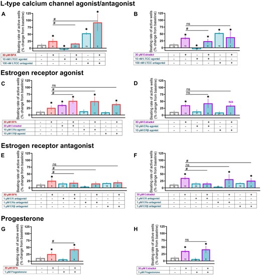 BPA-induced changes on beating rate are exaggerated by coadministration with E2 or calcium channel antagonist. hiPSC-CM were pretreated with a pharmacological agent (15 min) followed by exposure to either 30 μM BPA or 30 μM E2. A and B, Pretreatment with an LTCC agonist (Bay K8644) or antagonist (verapamil). C and D, Pretreatment with at ERα agonist (PPT) or ERβ agonist (DPN). E and F, Pretreatment with a nonspecific ER antagonist (ICI 182 780), ERα antagonist (MPP), or ERβ antagonist (PHTPP). G and H, Pretreatment with progesterone. Vehicle and pharmacological agent data repeated across graphs for clarity. Number of independent replicates reported in each bar. Values reported as a percent change from baseline measurement, immediately preceding chemical treatment (mean and 95% confidence interval). ANOVA with multiple comparisons test, *p < .05 relative to vehicle control (0.1% DMSO), #p < .05 relative to either 30 μM BPA alone or 30 μM E2 alone. Samples omitted if spontaneous beating activity ceased. N/A: Not applicable due to loss of spontaneous activity across multiple samples, which prevented statistical analysis.