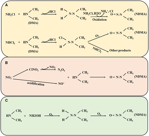 Formation pathways for NDMA (created in BioRender.com).