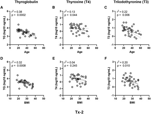 Donor age and BMI trends for the hormonogenic competence endpoints. Simple linear regression analyses of age (years) (A–C) and BMI (D–F) relative to the Tx-2 treatment group variables for hormone synthesis (A and D) thyroglobulin, (B and E) T4, and (C and F) T3. The dashed lines represent the 95% confidence interval of the regression line. The regression model fits are represented by the regression coefficient of determination (r2).
