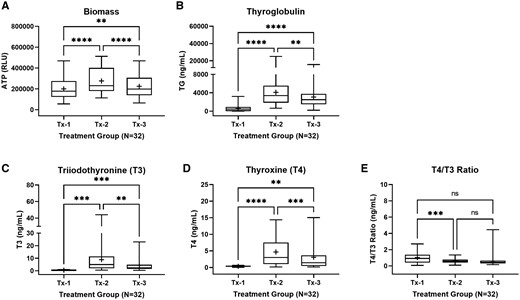 Summary characterization of thyroid microtissue endpoints at day 14. Thyroid microtissues for the total donor cohort (N = 32) were evaluated for (A) adenosine triphosphate (ATP) relative light units (RLU) as an indicator of biomass, (B) thyroglobulin protein production (ng/ml), (C) T3 hormone synthesis (ng/ml), (D) T4 hormone synthesis (ng/ml), and (E) T4/T3 ratio (ng/ml). Treatment groups included: Tx-1 (negative control), Tx-2 (positive control), and Tx-3 (TSH antagonist control). The summary distributions are represented in the box and whisker plots as the 1st percentile, 25th percentile, median, 75th percentile, and 99th percentile. The “+” symbol represents the mean value. ** (p ≤ .05), *** (p ≤ .01), *** (p < .001). Not significant (ns).