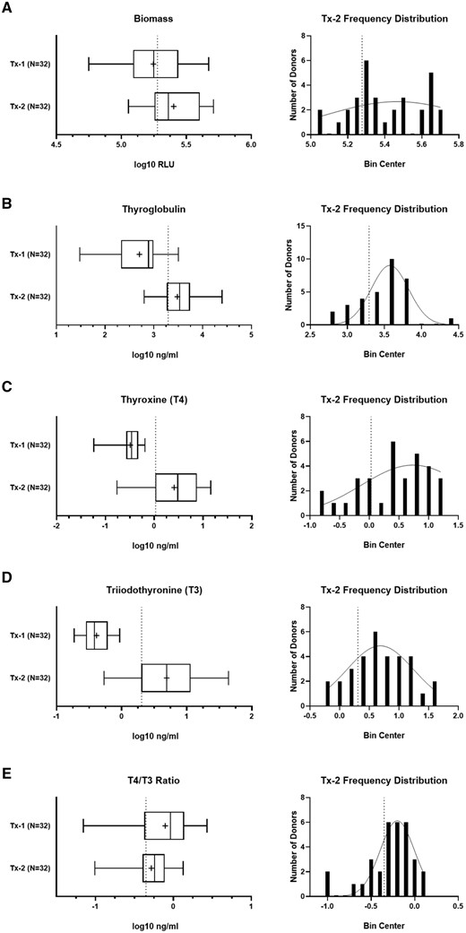 Establishment of confidence limits for the characterization endpoints. The Tx-1 and Tx-2 treatment group data for the total donor cohort (N = 32) for (A) biomass, (B) thyroglobulin, (C) T4, (D) T3, and (E) T4/T3 ratio. The summary distributions are represented in the box and whisker plots as the 1st percentile, 25th percentile, median, 75th percentile, and 99th percentile. The “+” symbol represents the mean value. The donor frequency distribution is plotted for the Tx-2 treatment group for each corresponding endpoint. The vertical dashed line indicates lower confidence limits calculated by each endpoint-specific Tx-2 group.