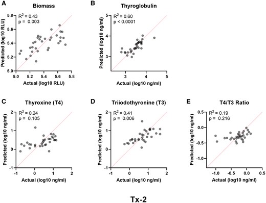 Performance parameters influenced by donor demographics. Multiple linear regression analyses of independent donor variables (age, race, sex, BMI) relative to the measured endpoint variables in the Tx-2 treatment group for (A) biomass, (B) thyroglobulin, (C) T4, (D) T3, and (E) T4/T3 ratio. The actual versus predicted values are represented on the x- and y-axis, respectively. The red dashed line is the line of identity. The regression model fits are represented by the regression coefficient of determination (R2).