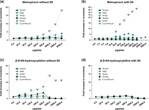 Molnupiravir (a/b) and β-D-N4-hydroxycytidine (c/d) Ames assay results without (a and c) and with (b and d) S9 metabolic activation. All strains were assessed up to either 5,000 µg/plate or toxicity-limited concentrations. S9, Aroclor 1254-induced rat liver.