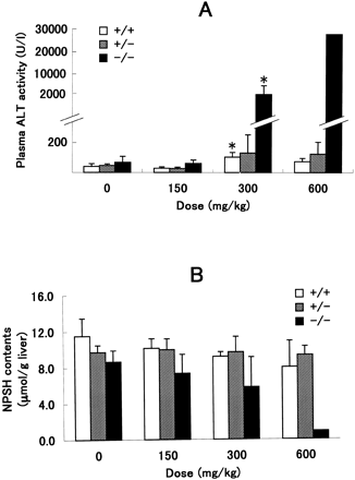 Plasma ALT activity (A) and hepatic NPSH content (B) of wild type mice (+/+), heterozygous nrf2 mice (+/–), and homozygous nrf2 knockout mice (–/–) administered APAP (po) at different doses. Plasma ALT activity was determined from blood samples taken from animals that survived 24 h after dosing. Hepatic NPSH level was measured in the same animals, as described in Materials and Methods. Values are represented as mean ± SD, where n = 3 or 4, except for –/– at 600 mg/kg (n = 1). *Significantly different from the vehicle control of the same genotype (p ≤ 0.05).