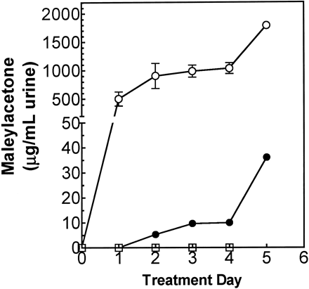Effect of DCA treatment on MA and FA excretion in rats. Rats were given either 0.25 mmol HGA/kg/day (open square), 1.2 mmol DCA/kg/day (filled circle), or both (open circle), for 5 days, and 24-h urine samples were analyzed for the tBDMS-derivative of MA and FA by GC-MS in scan mode, as described in Materials and Methods. The amounts of MA and FA determined were summed, and the data are presented as means ± SEM; n = 3 per group. Two-way ANOVA: DCA and DCA + HGA groups had significantly (p < 0.05) elevated MA concentration, compared with control on all treatment days, except day 1 for DCA-treated rats.
