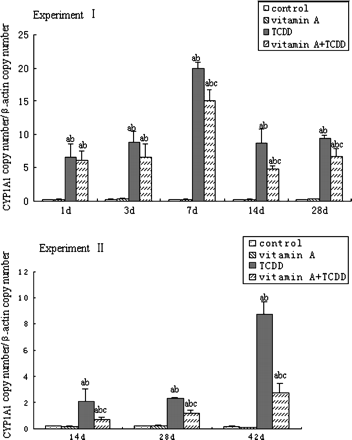 Time course of CYP1A1 mRNA expression in mouse liver. All bars are expressed as arithmetic means ± standard deviation (n = 4). ap < 0.05, significant difference compared with the control group. bp < 0.05, significant difference compared with the vitamin A group. cp < 0.05, significant difference compared with the TCDD group.