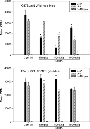 Effect of DMBA on mitogenesis in splenic T (Con A) and B cell (LPS) mitogenesis in WT and CYP1B1 knockout (-/-) mice. The mitogenesis assay was performed as described under Materials and Methods. Results are shown for CYP1B1 WT mice (top) and CYP1B1 knockout (-/-) mice (bottom). Values shown are for means ± SEM for five mice analyzed individually in six replicate cultures. *Indicates the statistically significant differences from corn oil group (p < 0.05).