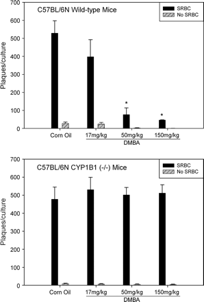 Analysis of the in vitro humoral immune responses to SRBC as measured by the direct plaque-forming cell (PFC) assay, as described in Materials and Methods. Data shown are the means of PFC per culture ± SEM in each group with five mice using triplicate cultures. *Indicates the statistically significant differences from corn oil group (p < 0.05).