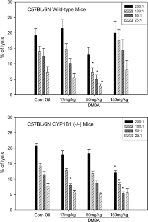 Natural Killer (NK) cell Assay by 51Cr release as described in Materials and Methods. Results are shown for NK cells obtained from the WT C57BL/6N mice (top) and CYP1B1 knockout (-/-) mice (borttom). Each bar represents mean of percentage of lysis and SEM (3 replicates). *Statistically significantly different from corn oil group, p < 0.05.