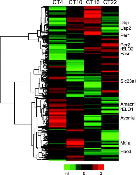 Heat maps of eight pools of six rats hybridized to an external RNA reference. The group times are listed at the top of the figure, and increased expression is shown in red, while decreased expression is in green. Nearly 1300 genes were identified as differentially expressed using Fourier transform analysis approach. Some of the known circadian and metabolic genes are shown on the right.