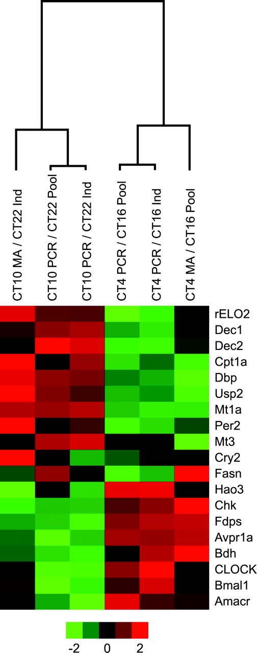 A dendogram of pooled and individual samples using qRT-PCR and microarray results for eight pools hybridized to an external RNA reference. Fold changes were collapsed by averaging for all experiments in a group. A group was defined by sampling protocol (pool or individual (ind)), measurement technology (microarray or qRT-PCR), and CT comparison (CT4/CT16 or CT10/CT22). The fold changes for each group were then log transformed and standardized (μ = 0, σ = 1). The increased expression is shown in red, while decreased expression is in green.
