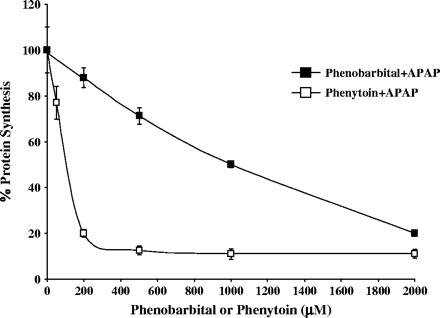 Effect of PB or PH on APAP toxicity in human hepatocytes. Hepatocytes from two human donors were treated for 6 h with 5 mM APAP alone or in combination with different concentrations of PB or PH. Protein synthesis was determined by a pulse labeling with 14C-leucine as described under Materials and Methods. Each value is expressed as a percentage of the value in cells treated with PB or PH alone and represents the mean of duplicate treatments of hepatocytes from each of two donors, with the range indicated by the vertical bars.