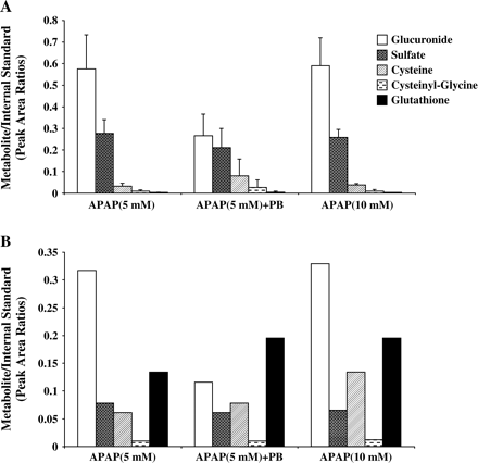 Analysis of APAP metabolites in culture media (A) and cell lysate (B) of human hepatocytes. Hepatocytes were treated for 24 h with 5 mM or 10 mM APAP alone or the combination of 5 mM APAP and 2 mM PB. Media (A) and cell lysate (B) were collected and analyzed for APAP metabolites as described under Materials and Methods. Each is expressed as a ratio of peak area of metabolites to the internal standard (acetanilide) and represents the mean of pool of duplicate treatments of hepatocytes from each of two donors, with the range indicated by the vertical bars in A. Data from a single donor are shown in B.