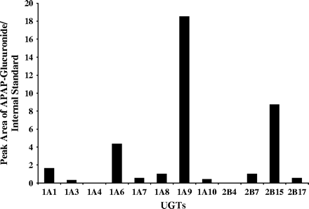 Formation of APAP glucuronide in the presence of various UGTs. The relative levels of APAP glucuronide were obtained by comparing the peak area ratios of the APAP glucuronide to the internal standard.
