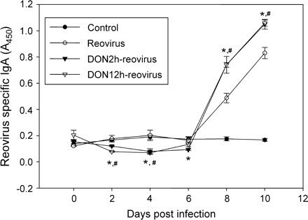 DON enhances reovirus-specific IgA response in feces. Mice were treated with 0 or 25 mg/kg of DON by oral gavage for 2 or 12 h and then orally infected with 3 ×107 PFU of reovirus. Fecal pellets were collected at 0, 2, 4, 6, 8, and 10 days after infection. Virus-specific IgA in fecal suspensions was determined by ELISA. Data are means ± SEM. Points marked with * and # indicate significant difference between control vehicle from groups given DON for 2 and 12 h, respectively (p < 0.05).