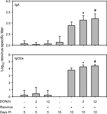 DON potentiates reovirus-specific IgA and IgG2A response in serum. Mice were treated with 0 or 25 mg/kg of DON by oral gavage for 2 to 12 h and then orally infected with 3 × 107 PFU of reovirus. Serum IgA and IgG2A titers were determined, 5 and 10 days after infection, by ELISA. Data are means ± SEM (n = 9). Bars with * and # indicate significant difference between vehicle control and groups given DON for 2 h and 12 h treatment, respectively (p < 0.05).