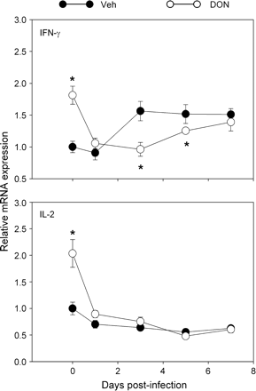 Kinetics of Th1 cytokine mRNA expression in Peyer's patches of DON-treated mice. Mice were treated with 0 or 25 mg/kg of DON by oral gavage for 2 h and then orally infected with 3 × 107 PFU of reovirus. After 0, 1, 3, 5, and 7 days, PP RNAs were isolated and relative expression of IFN-γ and IL-2 mRNA measured by real-time PCR. Data are means ± SEM (n = 6). Asterisk indicates significantly different from infected control (p < 0.05).