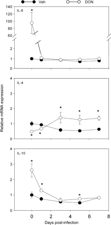 Kinetics of Th2 cytokine mRNA expression in Peyer's patches of DON-treated mice. Mice were treated as described in Fig. 9 legend, and relative expression of IL-6, IL-10, and IL-4 mRNA was determined by real-time PCR. Data are means ± SEM (n = 6). Asterisk indicates significantly different from infected control (p < 0.05).