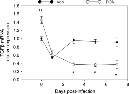 Kinetics of TGF-B mRNA expression in Peyer's patches of DON-treated mice. Mice were treated as described in Fig. 9 legend, and relative expression of TGF-B mRNA was determined by real-time PCR. Data are means ± SEM (n = 6). Asterisk indicates significantly different from infected control (p < 0.05).
