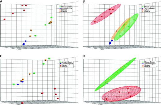 Principal component analysis of primate whole blood tissue gene expression profiles. Gene expression levels for 54,000 probe pairs (representing 38,500 genes) were uploaded to Partek Pro 6.0 and analyzed by principal component analysis (PCA). The GeneChip Operating System (GCOS) normalization algorithm (A, B) and the robust multi-array averaging (RMA) normalization algorithm (C, D) are shown for comparison. The ellipsoids (B, D) represent a two-standard deviation space from the mean of each sample set. The axes correspond to principal component 1 (PC1, x-axis), PC2 (y-axis), and PC3 (z-axis).