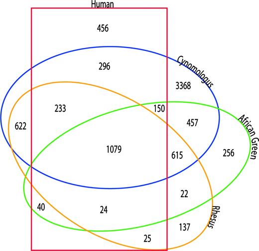 Venn diagram summarizing the Boolean analysis of primate whole blood gene expression profiles. Intra- and interspecies Boolean analyses were performed as described, and probe pair sets representing the intersection of all inter- and intraspecies comparisons were identified.