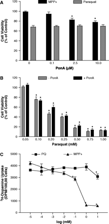 MPP+ but not paraquat toxicity is dependent on DAT expression. (A) Cell viability (percentage of control) of iDAT-GFP cells induced for 48 h with various dosages (0–10 μM) of ponasterone A (Pon A) and then exposed to 25 μM MPP+ or 100 μM paraquat for 48 h. *Represents significantly different (p ≤ 0.05) from no Pon A (0) by Student's t-test (n = 3–4). (B) Cell viability (percentage of control) of iDAT-GFP cells induced for 48 h with 10 μM Pon A and exposed to paraquat (50 μM–1 mM) for 48 h. *Represents significantly different (p ≤ 0.05) from control by Student's t-test (n = 3–4). There were no differences in paraquat toxicity between cells receiving Pon A and those not receiving Pon A. (C) Inhibition of DAT-mediated dopamine uptake by MPP+ and paraquat in iDAT-GFP cells induced with 0 or 10 μM ponasterone A (Pon A) for 48 h. Results represent means ± SEM (n = 3–4). *Represents significantly different (p ≤ 0.05) from control uptake by Student's t-test (n = 3–4).
