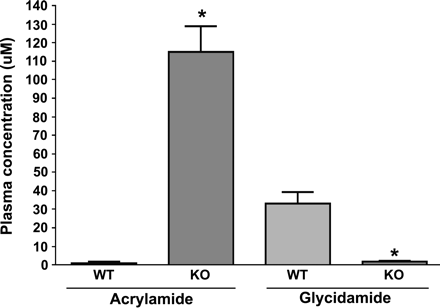 Comparison of acrylamide and glycidamide concentrations in the plasma of wild-type (WT) and CYP2E1-null (KO) mice at 6 h after treatment with a single ip dose of 50 mg acrylamide/kg body weight. Data are presented as mean ± SD of 3–5 animals. *Denotes values in KO mice that are significantly different from the corresponding WT mice at p ≤ 0.05.