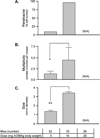 Dose response to AOM. A/J mice were injected ip with 5, 10, or 20 mg AOM per kg body weight for four weeks and analyzed for tumor penetrance (A), multiplicity (B), and size (C). The number of mice used in each treatment group, with approximately equal numbers of males and females, is shown. *p < 0.05; **p < 0.01; (N/A), data not available since all animals died.