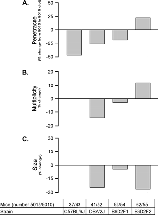 Strain-dependent diet effects on AOM treatment response. All mice were treated with four weekly ip injections of 10 mg AOM per kg body weight. Each strain or cross was analyzed and the percent change in average response from the 5010 to the 5015 diet was determined for penetrance (A), multiplicity (B), and size (C). No difference between the diets would be 0. The number of mice used in each treatment group, with approximately equal numbers of males and females, is shown.