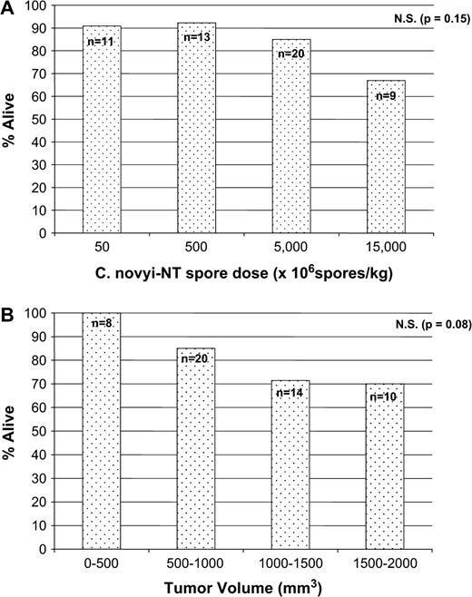 Mortality in tumor-bearing mice. (A) Balb/c mice bearing CT26 tumors with a fixed tumor volume (500–1000 mm3) were treated with the indicated doses of spores (p = 0.15). (B) Balb/c mice bearing CT26 tumors of the indicated sizes were treated with 5000 × 106C. novyi-NT spores/kg) (p = 0.08). The total number (n) of mice in each cohort is indicated above each column.