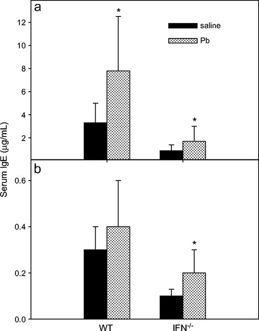 Effects of Pb treatment on serum total IgE and IgE anti-KLH levels. The same sera collected from WT and IFNγ KO BALB/c mice for anti-KLH IgG (Fig. 1) were used for assessment of total serum IgE (a) or IgE anti-KLH (b) by ELISA. Results were obtained from three separate experiments with n =14 and n = 16 for the control and Pb-treated WT groups, respectively; each IFNγ−/− group had n = 15. Data are presented as mean μg/ml ± SD of three separate experiments with use of standard IgE serum; an asterisk designates statistically significant (p < 0.05) differences from saline values.