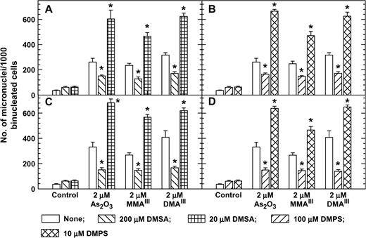 DMSA and DMPS at high concentrations decreased but at low concentrations increased micronucleus formation of As2O3-, MMAIII-, and DMAIII-treated 293 (A, B) and SV-HUC-1 cells (C, D). Exponentially growing cells were treated with arsenic compounds, DMSA, and DMPS plus 4 μg/ml cytochalasin B for 24 h. * p < 0.01 with vs. without dithiol. The percent of binucleated cells was >70%.