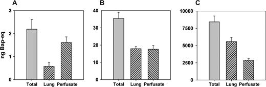 The total mass balance of BaP-eq over lungs and perfusate (SD, n = 3). (A) Low dose, (B) medium dose, and (C) high dose.