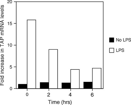 Time course of TAP gene expression in response to ROFA suspension. BTE cells were treated with 5.0 μg/cm2 of ROFA suspension for increasing periods of time, then stimulated with or without LPS (100 ng/ml) for 18 h. Total mRNA was isolated and analyzed by northern blot. Blots were probed for TAP and normalized to α-tubulin, and expressed as fold increase over unstimulated TAP mRNA levels in the absence of ROFA. Maximum suppression of LPS-induced TAP mRNA occurred from 4 to 6 h. The results are representative of three separate experiments.