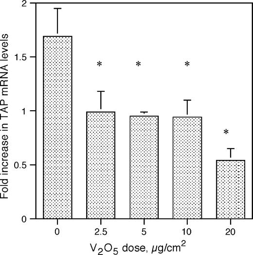 Effect of V2O5 on TAP gene induction by the proinflammatory cytokine, IL-1β. BTE cells were stimulated with increasing doses of V2O5 for 6 h and then treated with or without IL-1β (100 ng/ml) for 6 h. Total RNA was extracted from harvested BTE cells and analyzed by semi-quantitative RT-PCR for TAP and normalized to GAPDH. Experiments were carried out in triplicate. Asterisks represent a significant decrease in TAP levels in response to washed particles (Student's t-test, p ≤ 0.05). Error bars represent ± SEM.