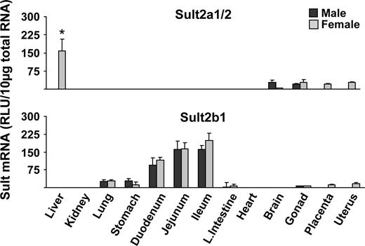 Tissue distribution of Sult2a1/2 and 2b1 in male and female mice. Total RNA was isolated from approximately 8-week-old male and female mice and analyzed by the bDNA signal amplification assay for mRNA expression. The data are presented as mean RLU ± SEM (n = 5). Asterisk represents a statistically significant difference (p ≤ 0.05) between males and females.