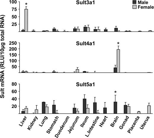 Tissue distribution of Sult3a1, 4a1, and 5a1 in male and female mice. Total RNA was isolated from approximately 8-week-old male and female mice and analyzed by the bDNA signal amplification assay for mRNA expression. The data are presented as mean RLU ± SEM (n = 5). Asterisk represents a statistically significant difference (p ≤ 0.05) between males and females.