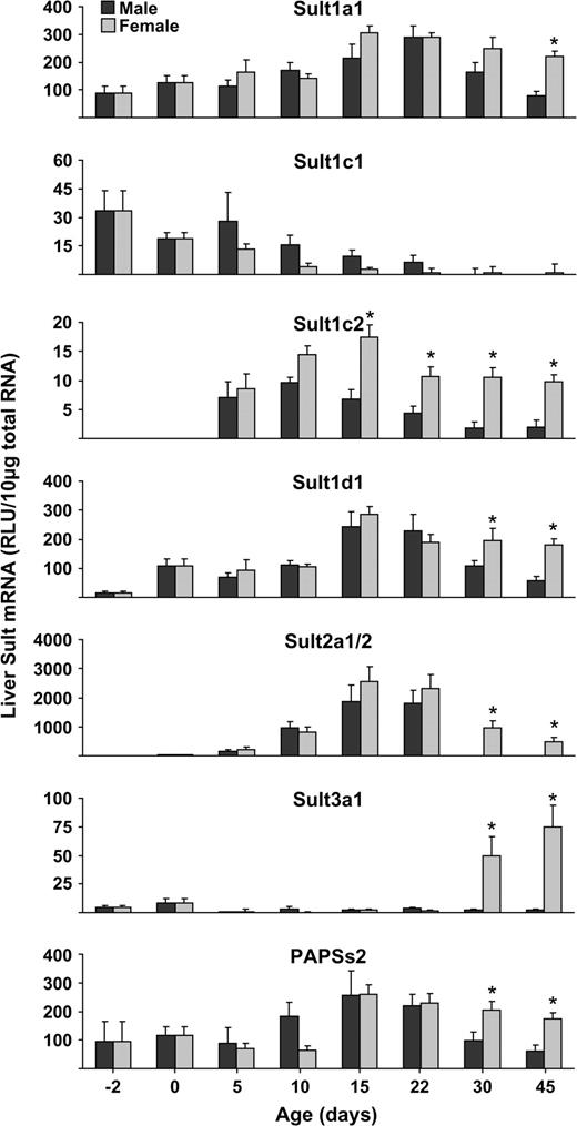 Hepatic ontogeny of Sult1a1, 1c1, 1c2, and 1d1 in male and female mice. Total RNA was isolated from livers of − 2-, 0-, 5-, 10-, 22-, 30-, and 45-day-old mice and analyzed by bDNA signal amplification assay for mRNA expression. The data are presented as mean RLU ± SEM (n = 5). Asterisk represents a statistically significant difference (p ≤ 0.05) between males and females.