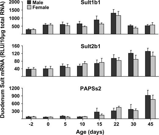 Ontogeny of Sult1b1, 2b1, and PAPSs2 in duodenum of male and female mice. Total RNA was isolated from livers of − 2-, 0-, 5-, 10-, 22-, 30-, and 45-day-old mice and analyzed by bDNA signal amplification assay for mRNA expression. The data are presented as mean RLU ± SEM (n = 5). Asterisk represents a statistically significant difference (p ≤ 0.05) between males and females.