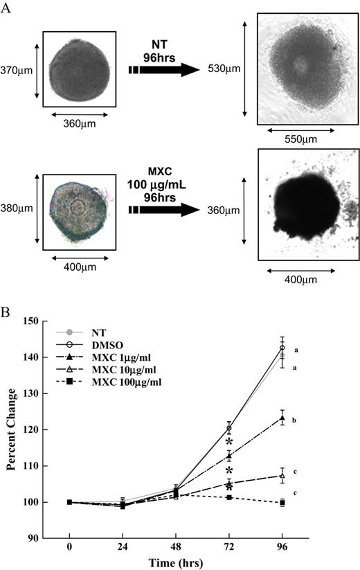 Effect of MXC exposure on CD-1 mice antral follicle growth. Antral follicles isolated mechanically from CD-1 mice were exposed in vitro to MXC (1–100 μg/ml) for 96 h. Representative photographs of NT and MXC (100 μg/ml)-treated antral follicles from CD-1 mice cultured for 96 h are shown (A). Growth of follicles was monitored during culture and recorded in micrometers and reported as percent change (B). Graph represents means ± SEMs from three separate experiments. Lines with asterisk are significantly different from controls at 72 h, and lines with different letters are significantly different from each other at 96 h (n = 10–16 follicles per treatment per experiment from three separate experiments, p ≤ 0.05).