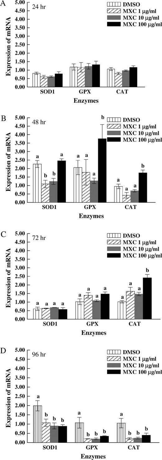 Effect of MXC exposure on SOD1, GPX, and CAT expression at 24, 48, 72, and 96 h in antral follicles. Antral follicles from CD-1 mice were exposed in vitro to MXC (1–100 μg/ml) for 24, 48, 72, and 96 h and subjected to qPCR for analysis of SOD1, GPX, and CAT mRNA levels. All values were normalized to β-actin as a loading control. Graph represents means ± SEMs from three separate experiments. Bars with different letters are significantly different from each other within the enzyme groups (n = 10–16 follicles per treatment per experiment from three separate experiments, p ≤ 0.05).
