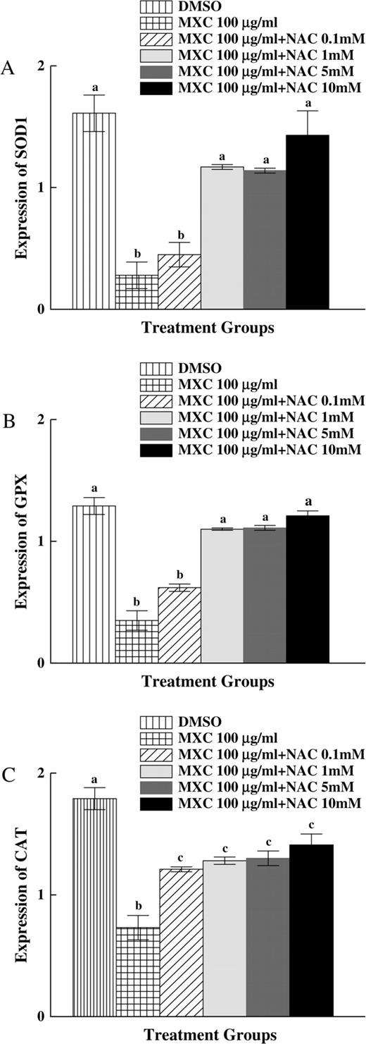 Effect of MXC and NAC cotreatment on SOD1, GPX, and CAT expression in antral follicles. Antral follicles from CD-1 mice were exposed in vitro to MXC 100 μg/ml and MXC 100 μg/ml + NAC (0.1–10mM) for 96 h and subjected to qPCR for analysis of SOD1, GPX, and CAT mRNA levels (n = 10–16 follicles per treatment). All values were normalized to β-actin as a loading control. Graph represents means ± SEs from three separate experiments. Bars with different letters are significantly different from each other (n = 12–16 follicles per treatment per experiment from three separate experiments, p ≤ 0.05).
